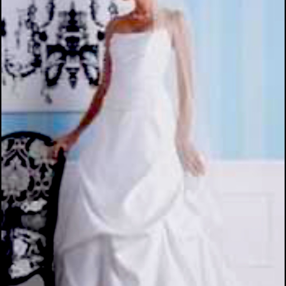 David’s Bridal Strapless Wedding Gown, Veil, more!